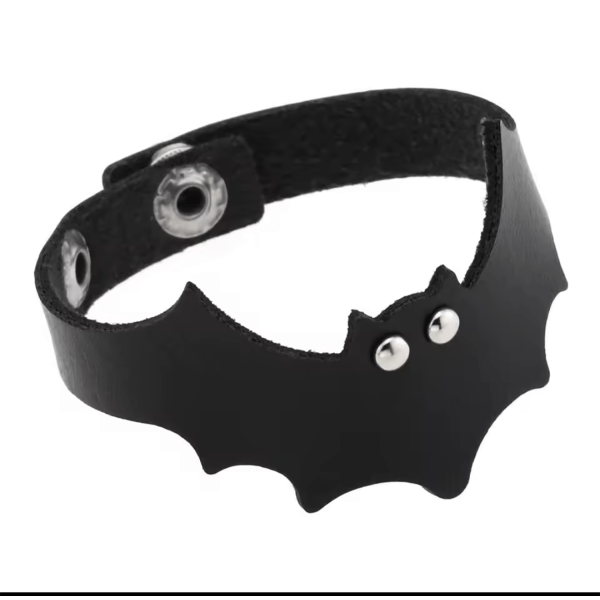 Περικάρπιο Δερματίνη και μέταλλο