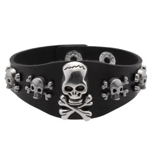 Περικάρπιο Δερματίνη και μέταλλο