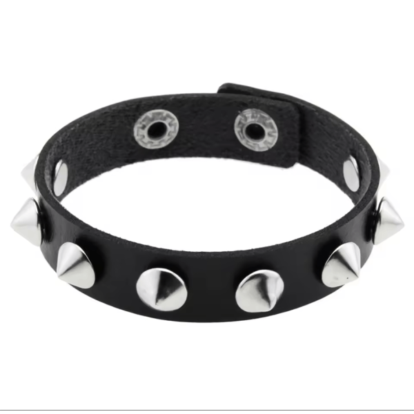 Περικάρπιο Δερματίνη και μέταλλο