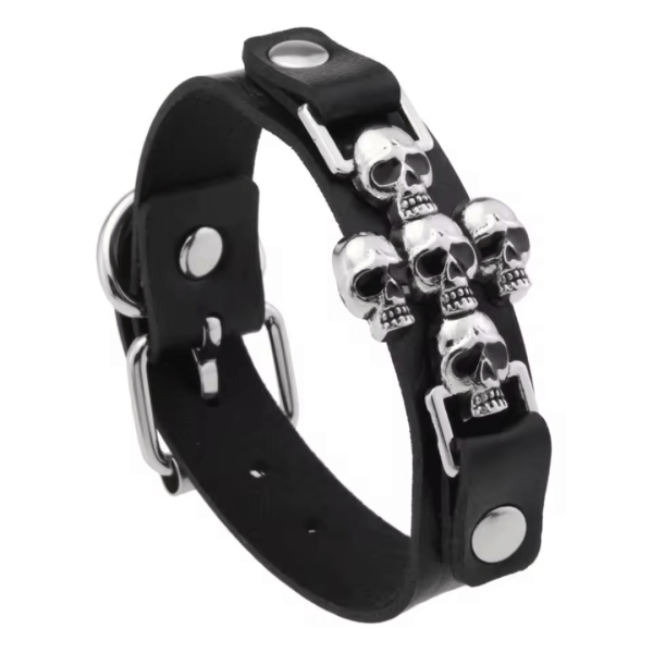 Περικάρπιο Δερματίνη και μέταλλο